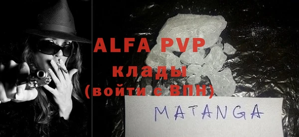 индика Аркадак