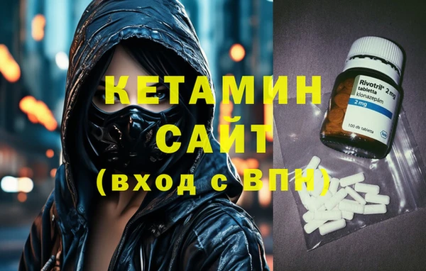 стаф Алзамай