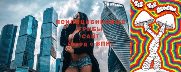 индика Аркадак