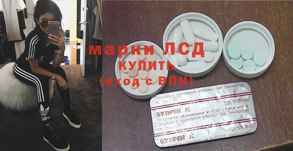 стаф Алзамай